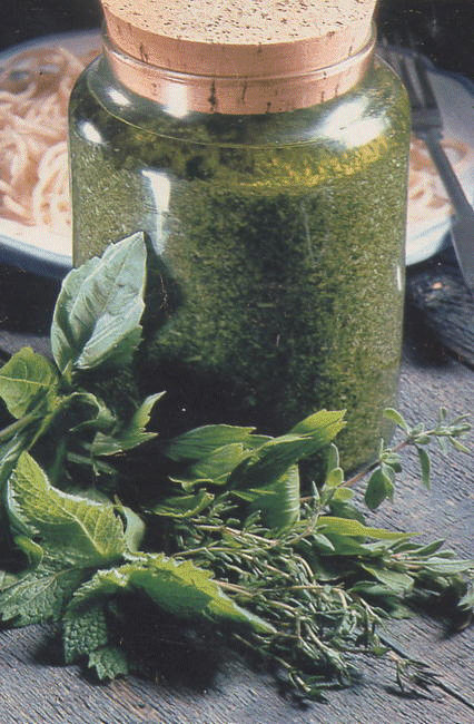 Ital. Kräutersoße nach Pesto-Art