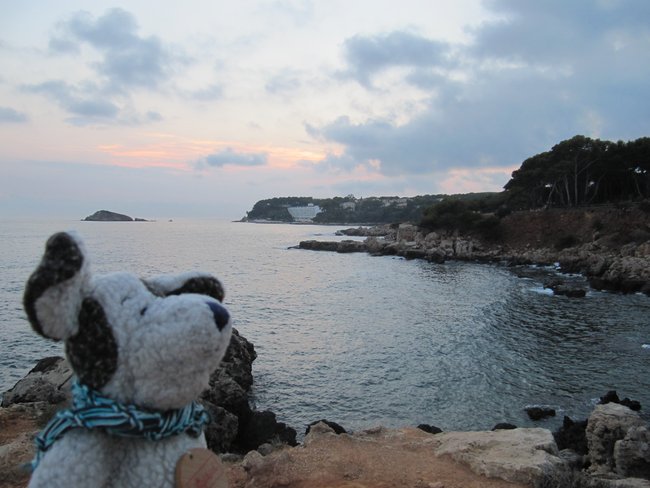 ../previews/056-Bandol.jpeg.medium.jpeg
